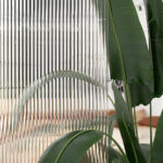 Fluted glass Moru